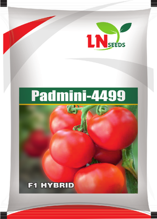 PADMINI-4499 vegetables seed packet